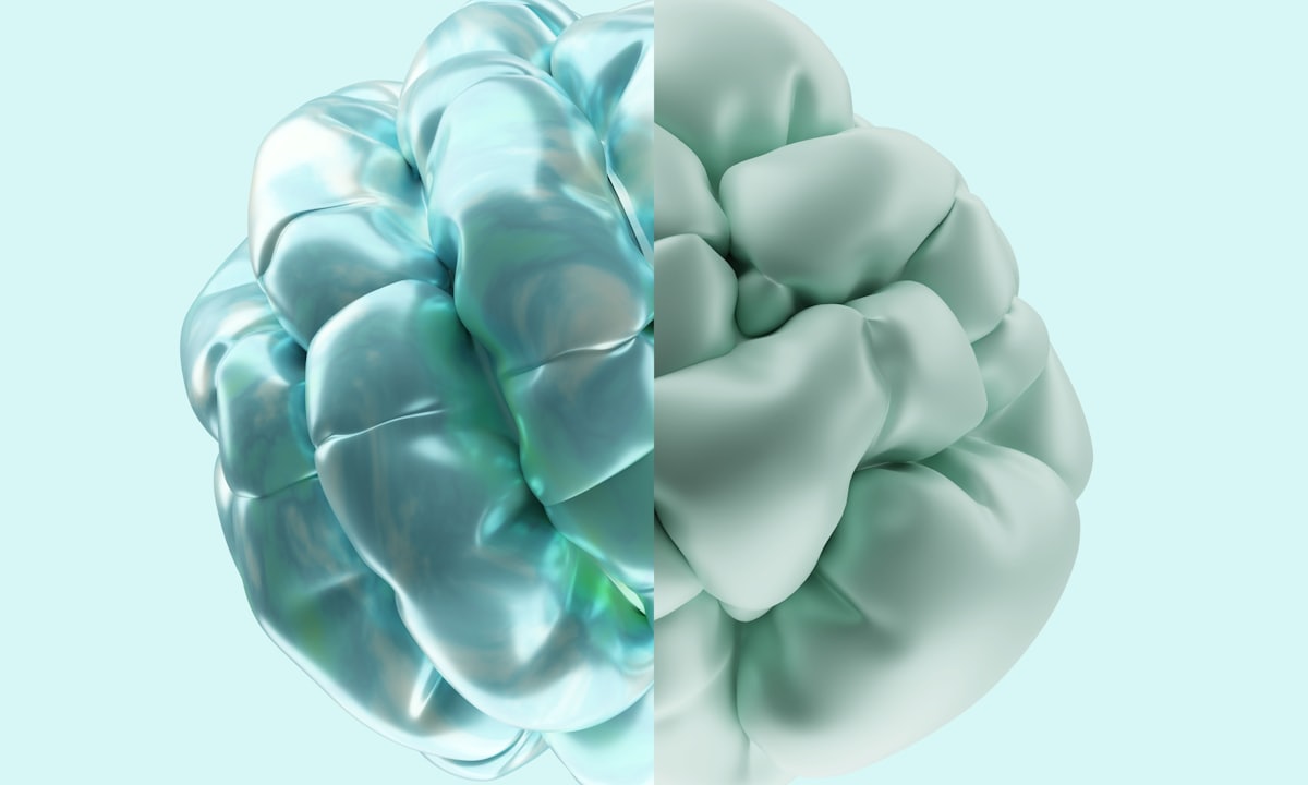 The gut–brain axis: how your microbiome may influence mood and stress