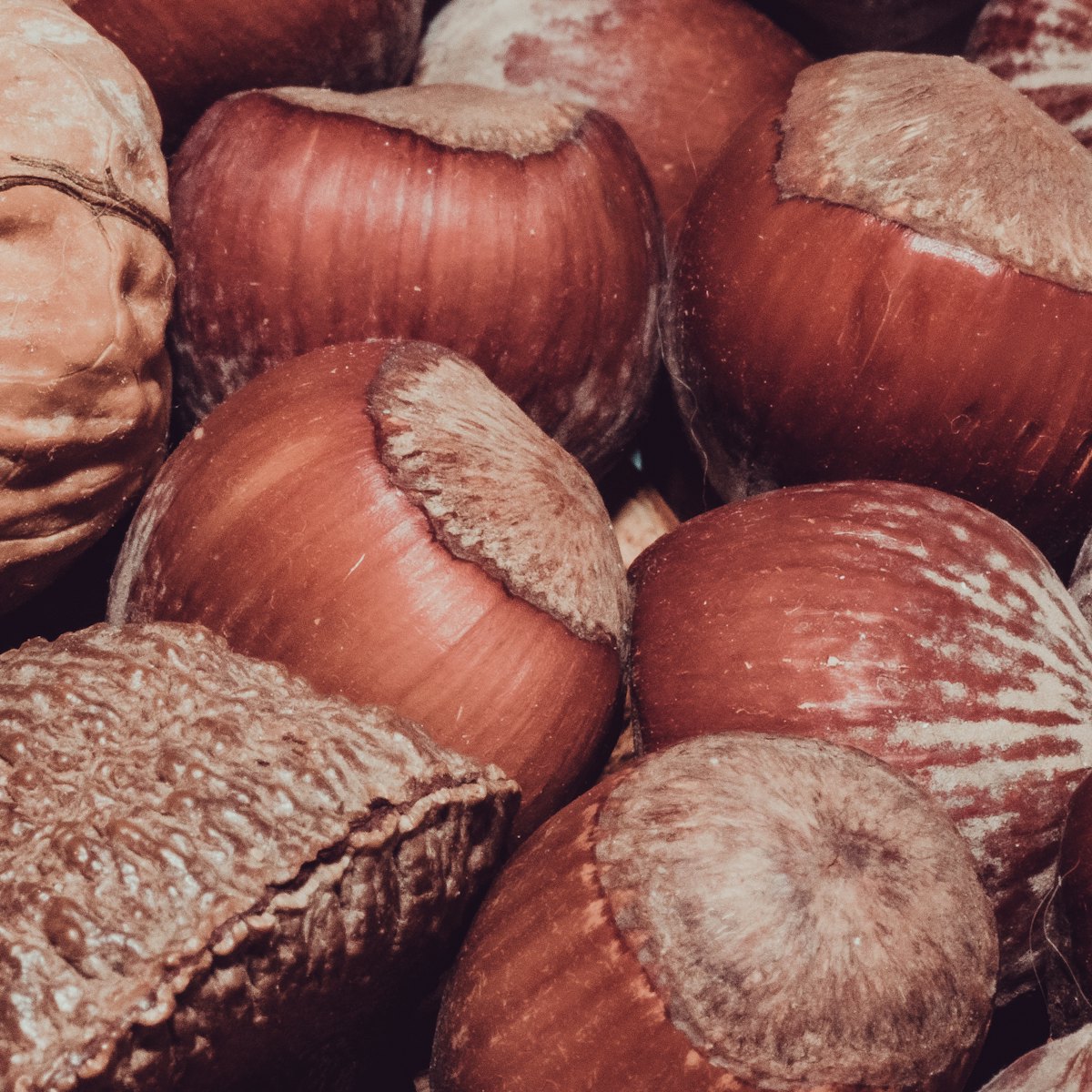 Thyroid health and diet: iodine, selenium, and the Hashimoto's question